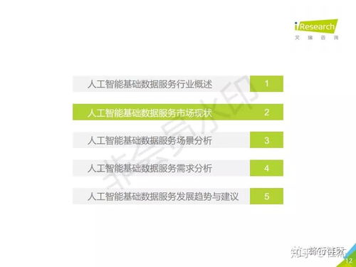 2019年中國人工智能基礎數(shù)據(jù)服務白皮書 驅(qū)動智能未來的核心基石